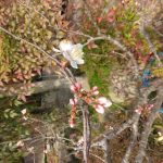 IMG_20230309_131122
