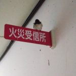 IMG_20250821_065926