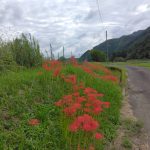 IMG_20250927_103108