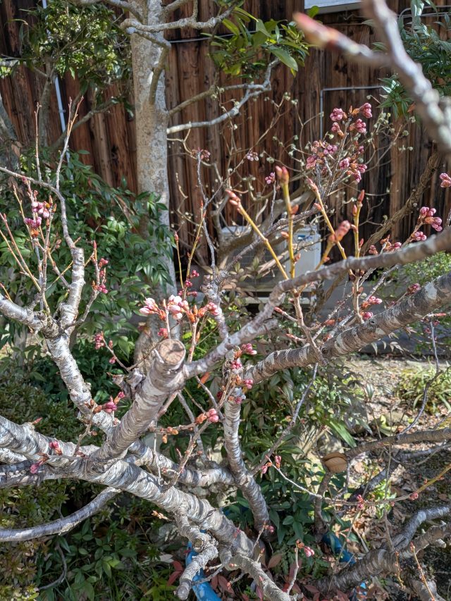 PXL_20260311_003054889