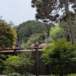 PXL_20260419_032858924